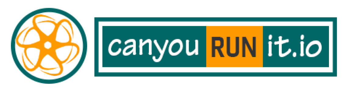 Can You Run It